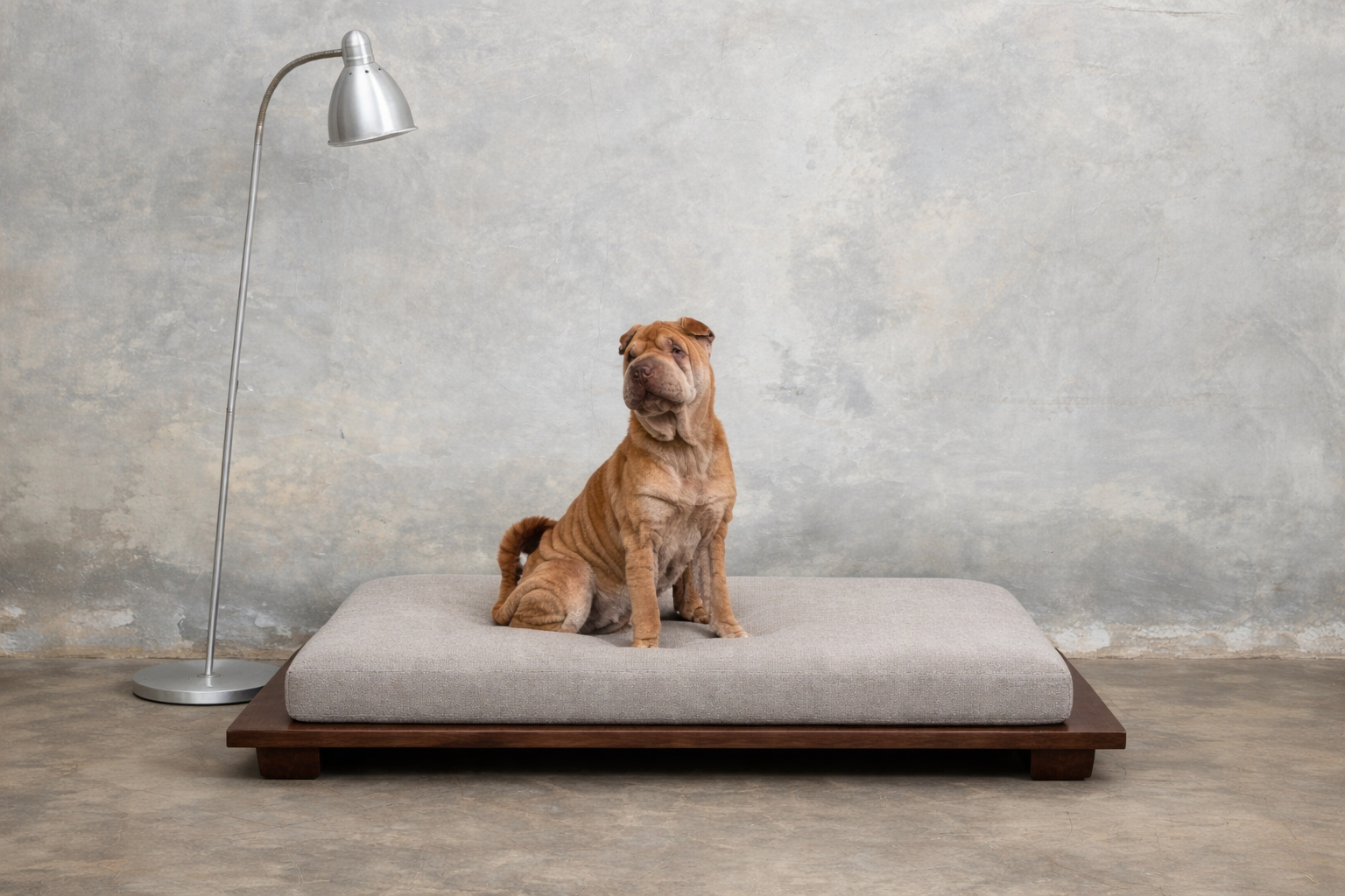Are Dog Beds Really Safe? Why Materials and Certifications Matter More Than You Think