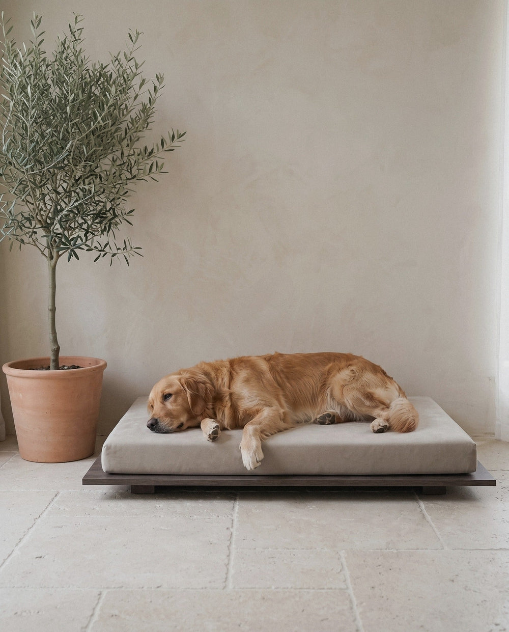 Golden Retriever resting on the flat Kumo orthopedic dog bed by Jeff&Co