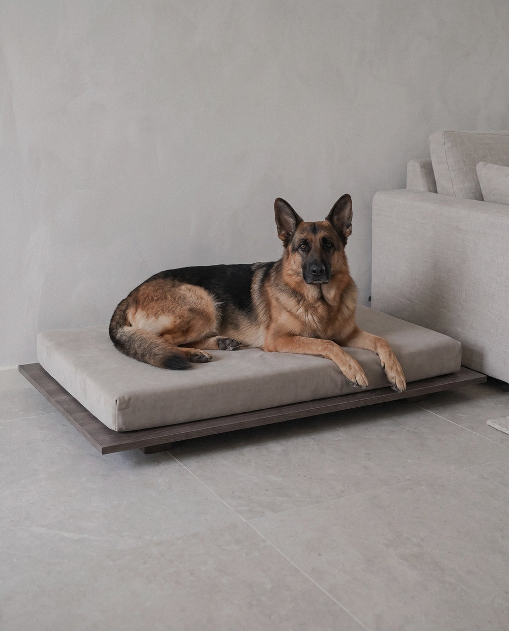 German Shepherd resting on the Kumo orthopedic dog bed by Jeff&Co