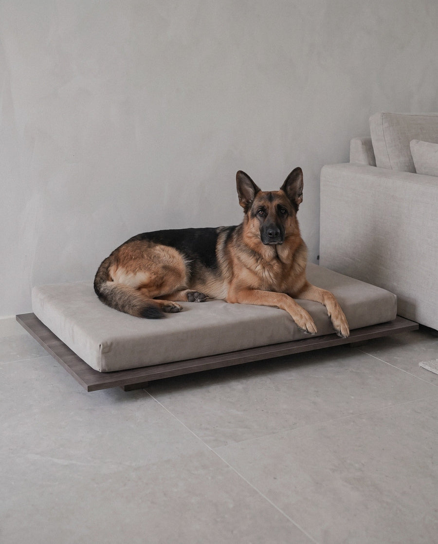German Shepherd resting on the Kumo orthopedic dog bed by Jeff&Co