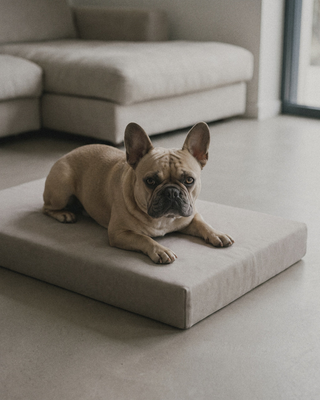 Orthopedic Mattress