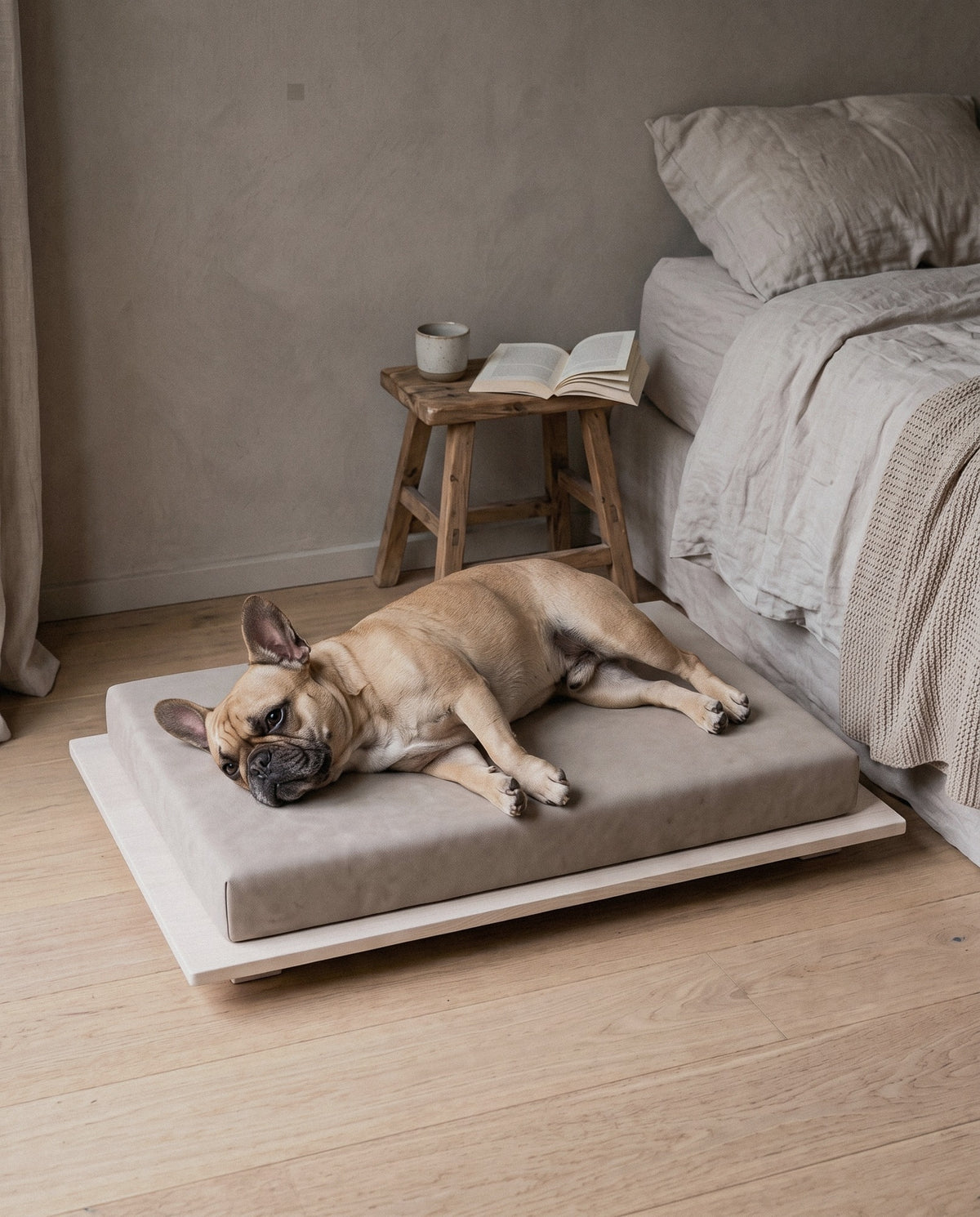 Dog on the Kumo orthopedic dog bed by Jeff&Co