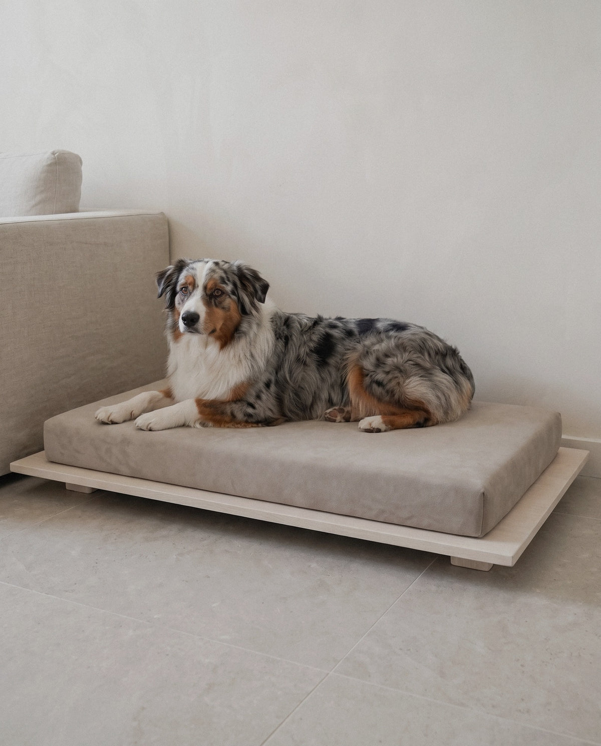 Dog on the Kumo orthopedic dog bed by Jeff&Co