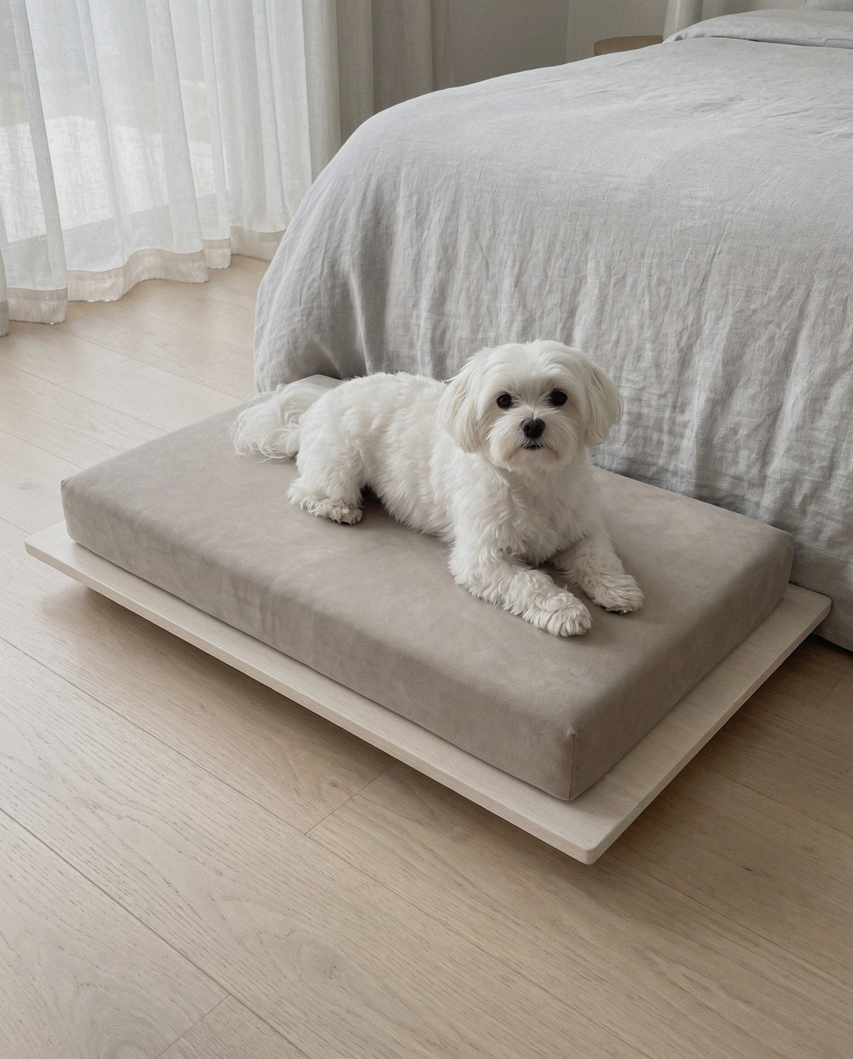 Dog on the Kumo orthopedic dog bed by Jeff&Co