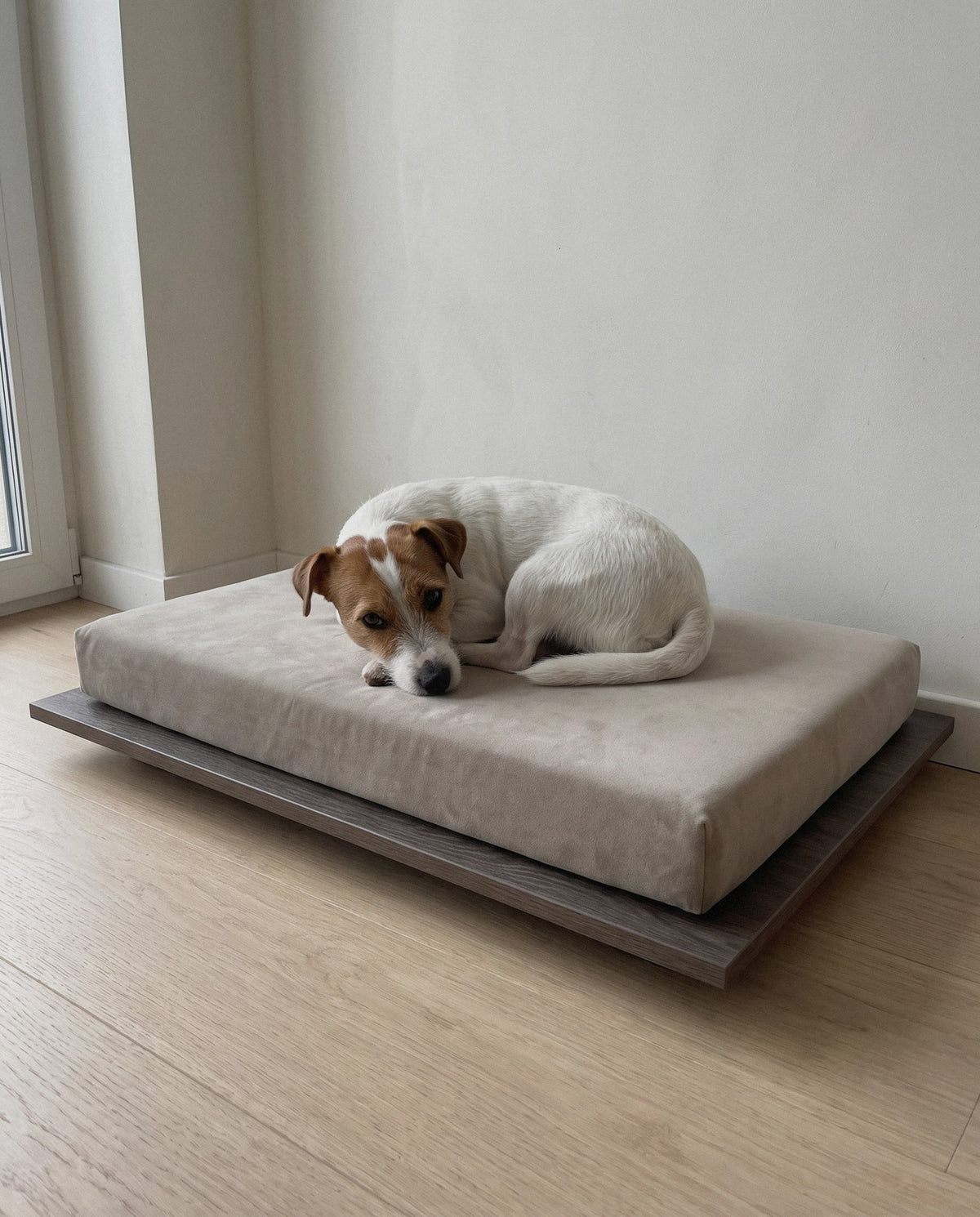 Dog on the Kumo orthopedic dog bed by Jeff&Co